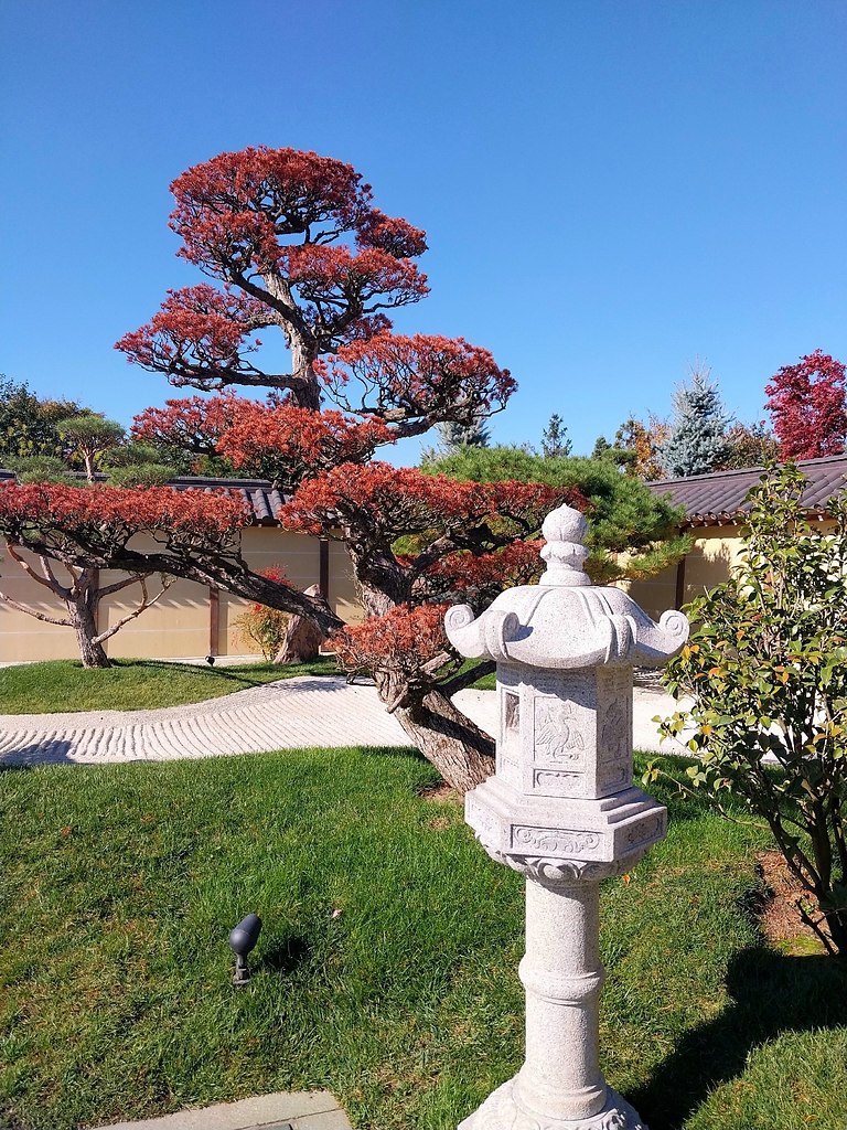 paca oce  oco ca  pacoape. - 5