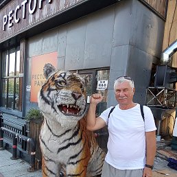 ���� �������, ����-���, 66 ��� - ��������� 11 ������� 2026