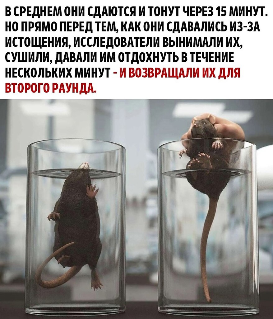      - 2