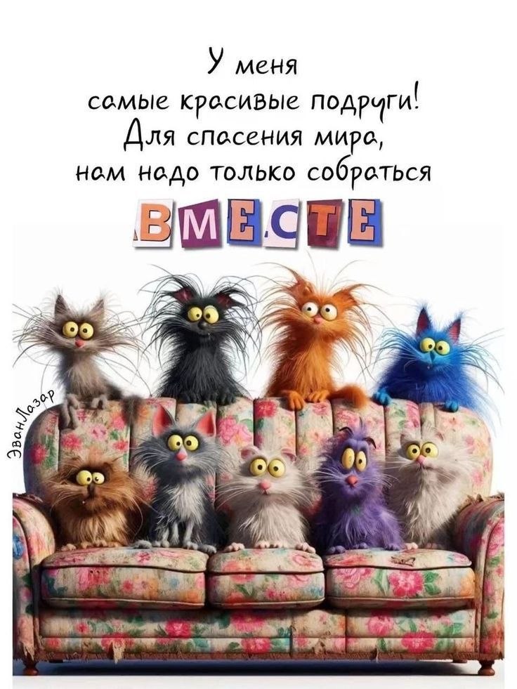   - 6  2025  18:12