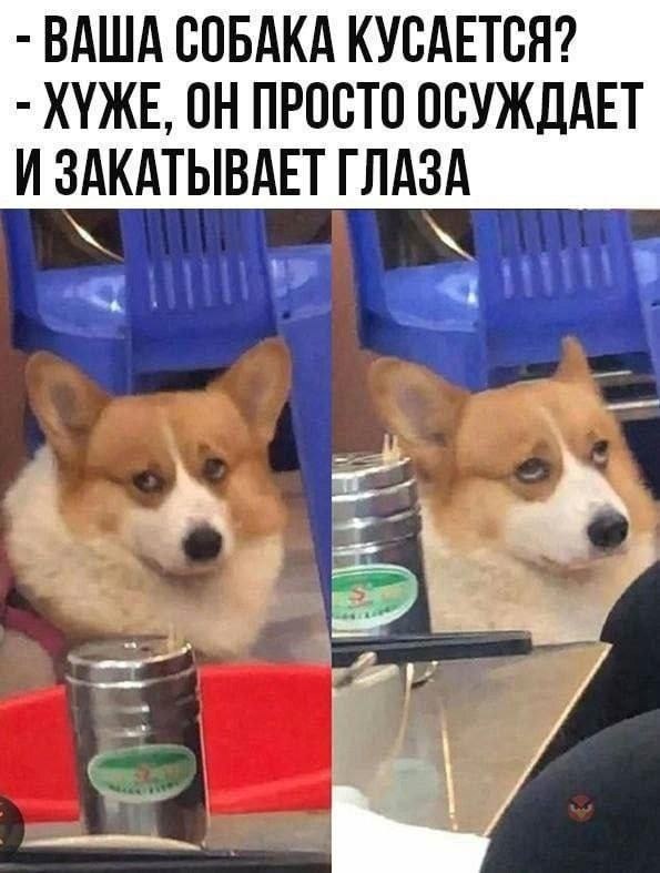  - 10  2025  12:50