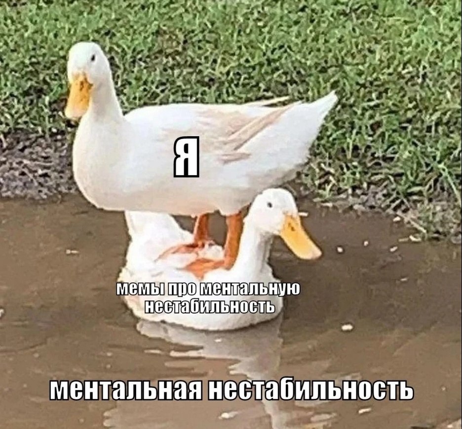           ?     ...