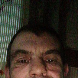 , 39, 