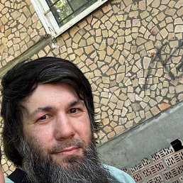 , 37, 