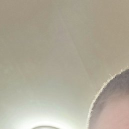 , , 29 