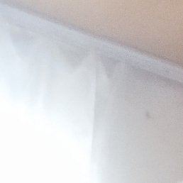 ��������, ������, 48 ���