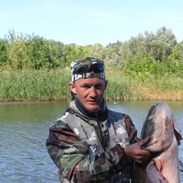 �������, ������, 51 ���