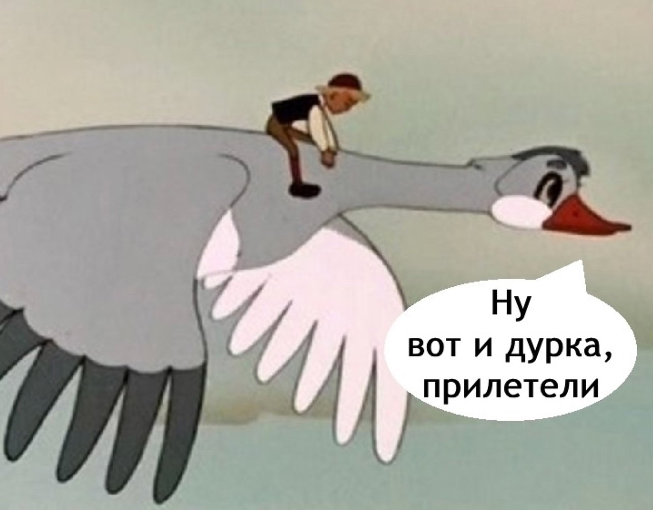 Вот и прилетели
