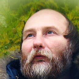 �, �����-���������, 59 ���