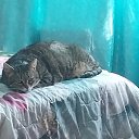 ���� �������, ������, 52 ���� - ��������� 22 ������ 2025 � ������ ������ ��������