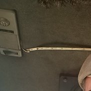 , 45 , 