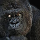 ���� Sam, �����, 47 ��� - ��������� 6 ��� 2024