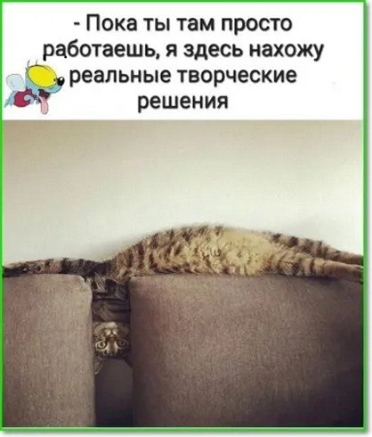 ☆Лучшие шутки☆ - 7 сентября 2025 в 20:28