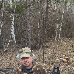 ���� �������, �����, 49 ��� - ��������� 29 ������ 2026