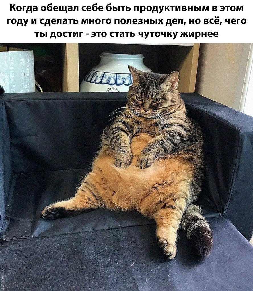    - 17  2024  20:44