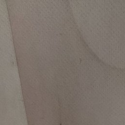 �����, �����������, 41 ���