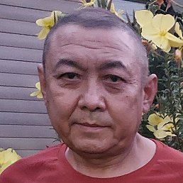 , , 52 