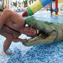 �����, ������������, 51 ���