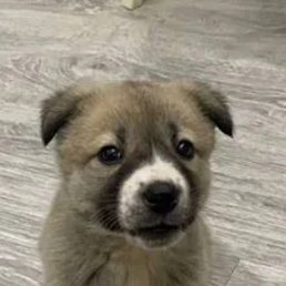 ���� M���� *, ������ - ��������� 2 ������ 2026