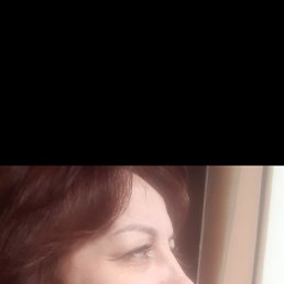 , 41, 