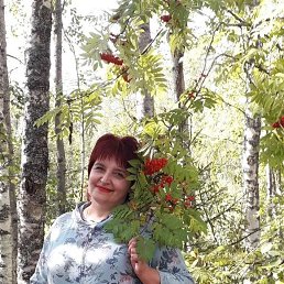 , 55,  