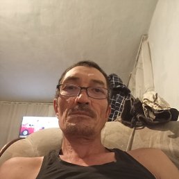 , 44, 