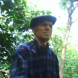 ���, �������, 71 ���