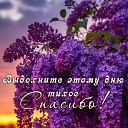 ���� �������, ���������� - ��������� 14 ���� 2026 � ������ ������ ��������