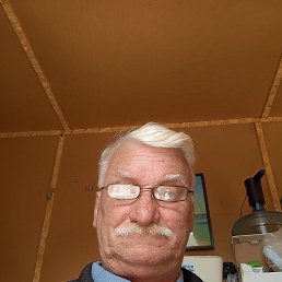 , 61, 