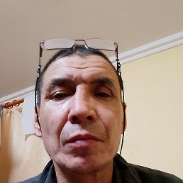 , 53, -