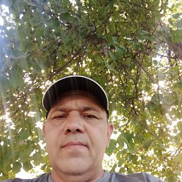 , 49, 