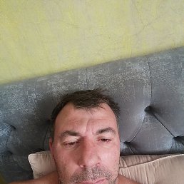 , 44 , 