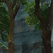 ����, 41 ���, ������