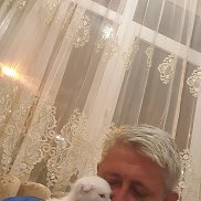 , 49 , 