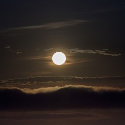 ������ ������, ����, 45 ���