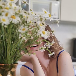 ���� �������, �����-���������, 44 ���� - ��������� 17 ���� 2025