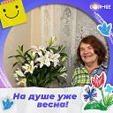 ���� �������, ������ - ��������� 21 ������ 2026 � ������ ���� ����������