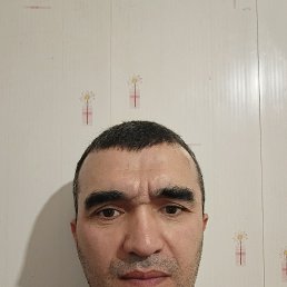 , 44, 