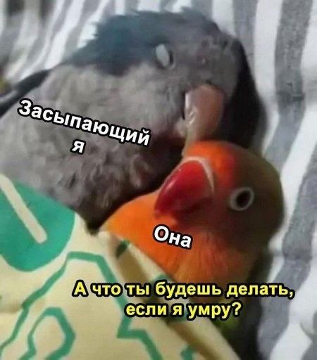    - 12  2024  14:13