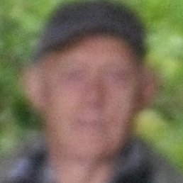 ���������, ������, 77 ���