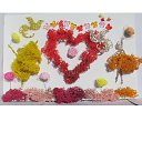 ���� Svetlozar, �����, 45 ��� - ��������� 1 ������� 2025 � ������ ����� �� ����