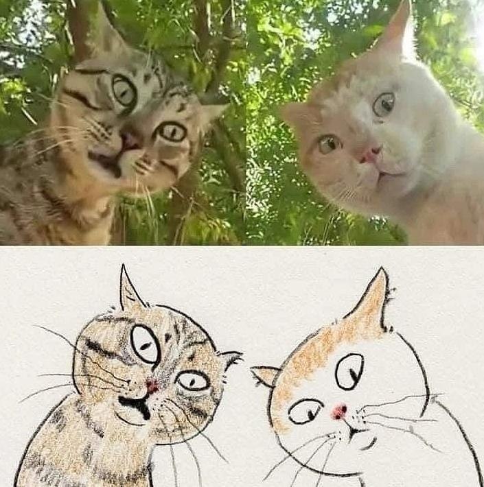 ��������! - 4