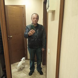 , 55, 