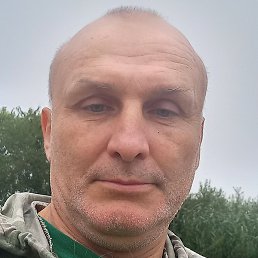 ������, ��������, 54 ����