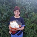 ���� ����, �����������, 42 ���� - ��������� 17 ������� 2026 � ������ ���� ����������