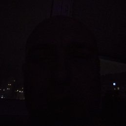 ����, ������, 41 ���