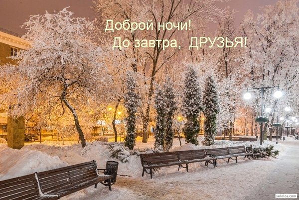   ,    . - 8  2024  21:47