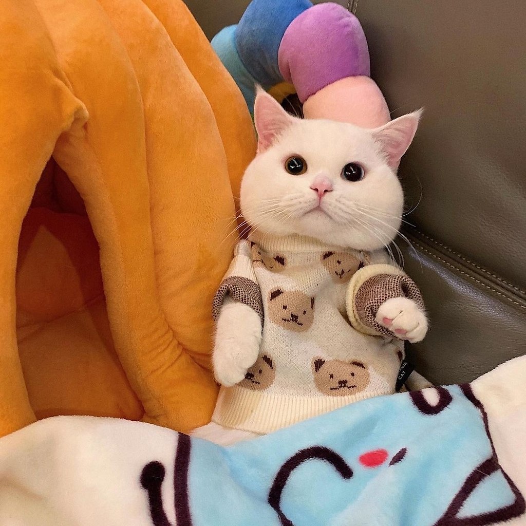 ��� ��� �������� :3