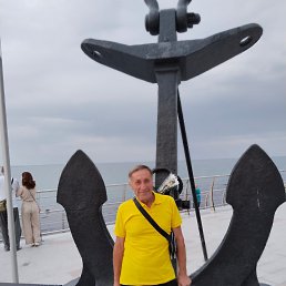  , 65, 