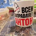 ���� �����, �������, 41 ��� - ��������� 11 ������ 2025 � ������ ������ ��������